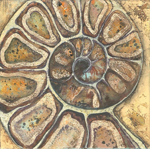 Ammonite Cross Section # 2