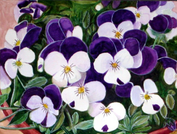 Pansies looking to the sun