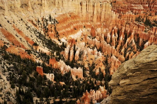 Bryce Canyon Spirals