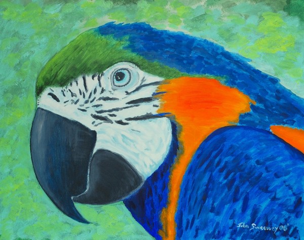 Tri-colored Parrot