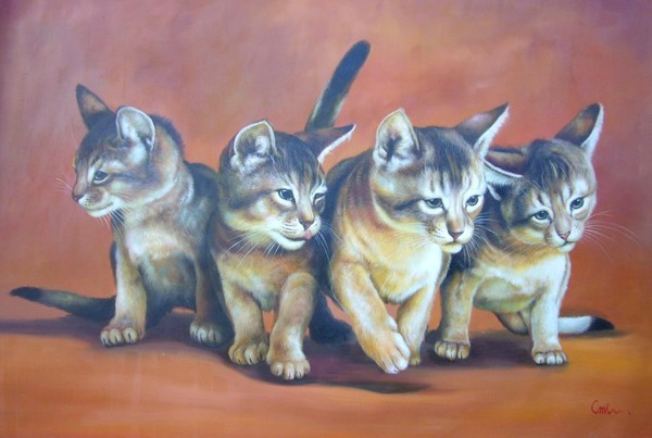 Kittens, Sorrel