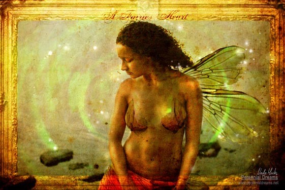 A Faeries Heart