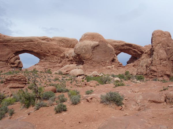 The Eagle at arches