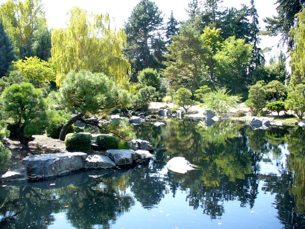 Denver Botanic Garden Pond