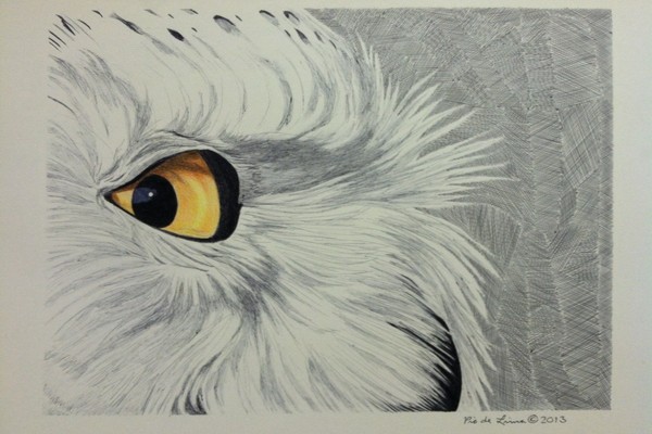 Snowy Owl (Original Artwork Sold)