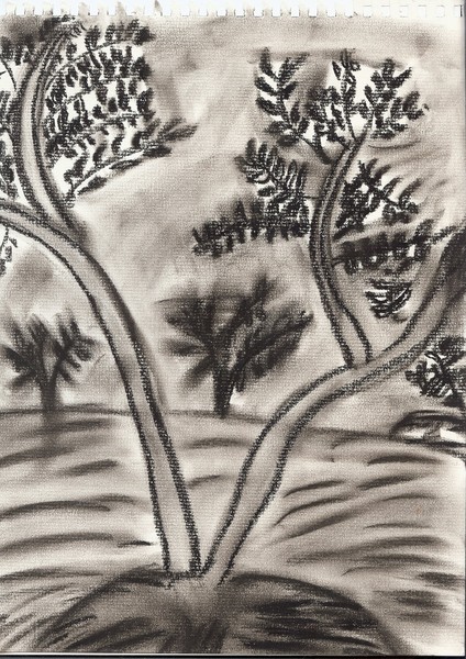Tree in charcoal