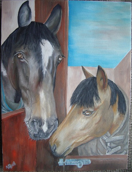 Horse & Pony