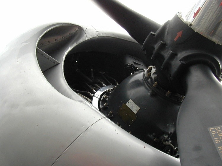 Plane engine and prop
