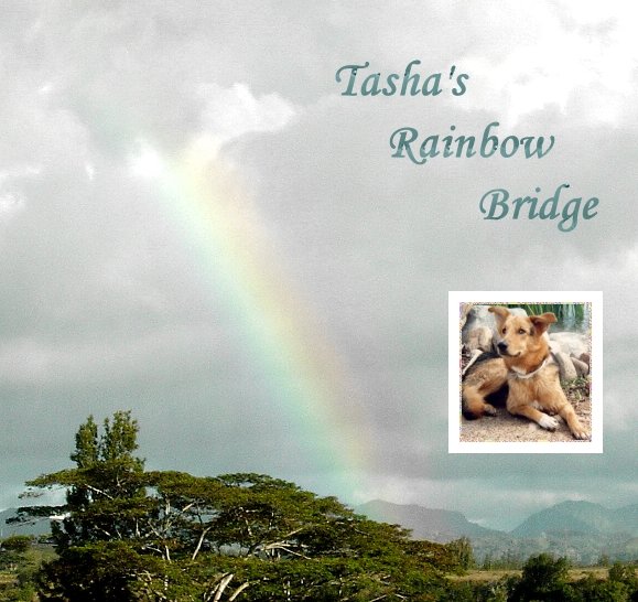 Tasha's Rainbow Bridge