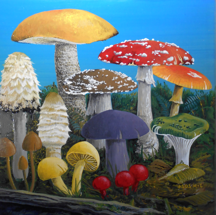 l blue mushroom 2