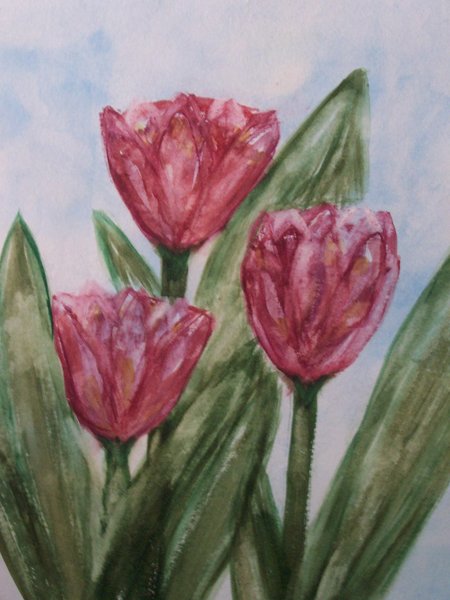 Tulips in April