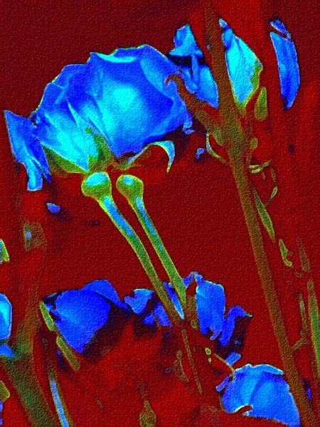 Azules Rosas