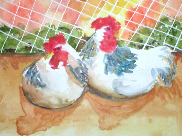 Two Chickens