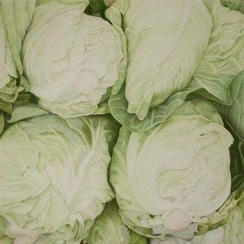 Oxheart cabbage