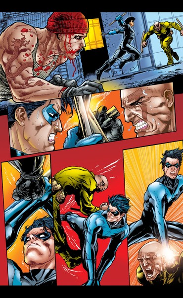 NIGHTWING IN ACTION