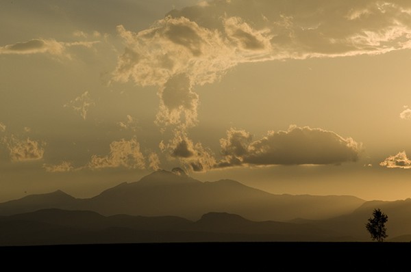 Serengeti In Colorado