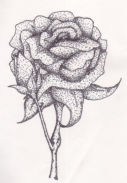 Rose and Bud