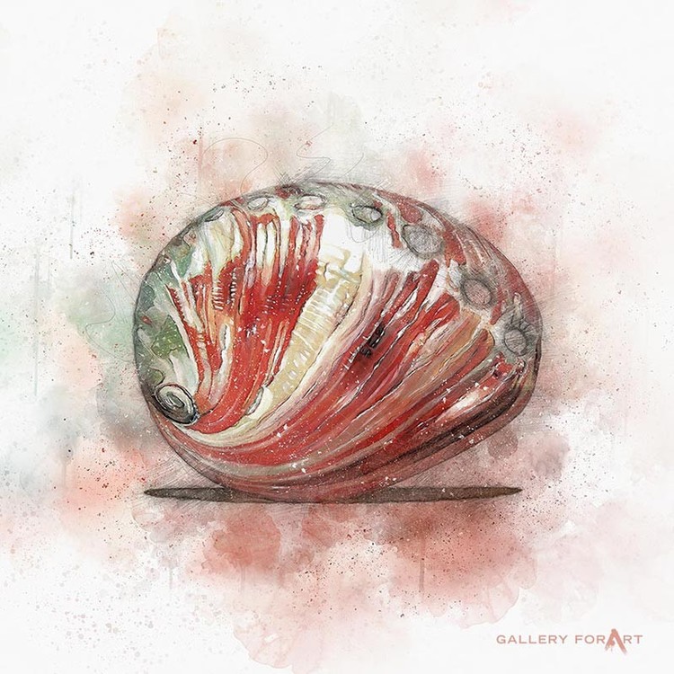 SHELL OWHITE ABALONE-RED