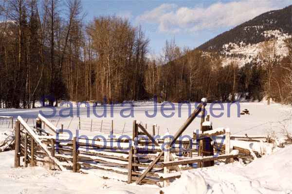 Canada - Winter in Falkland