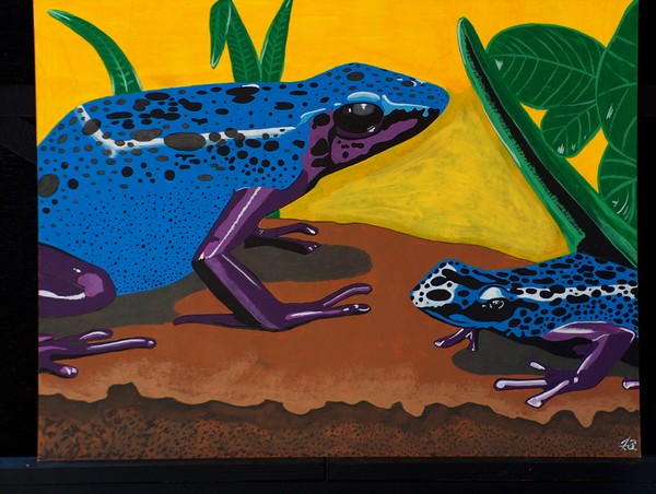 poison dart frog #1