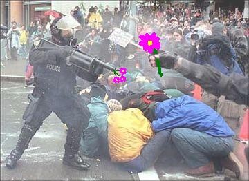 Flowers or Tear Gas