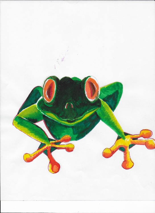 Frog II 001