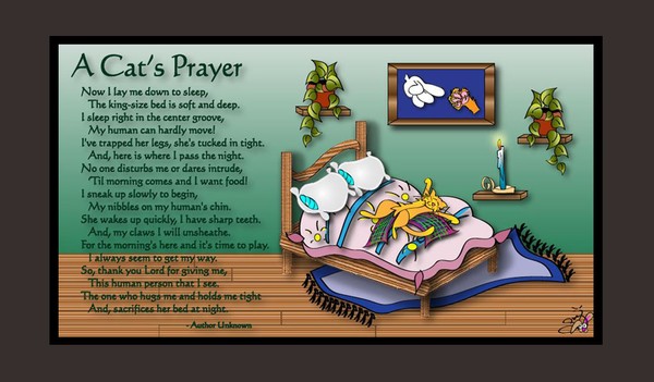 A Cat's Prayer