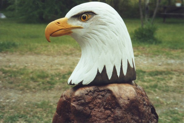 Eagle Head