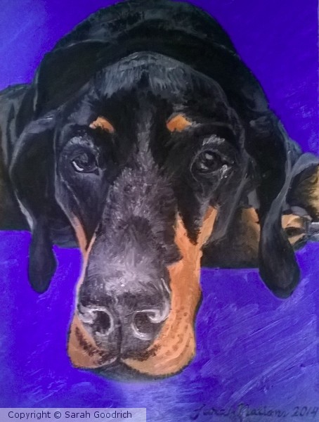 Bill the Doberman