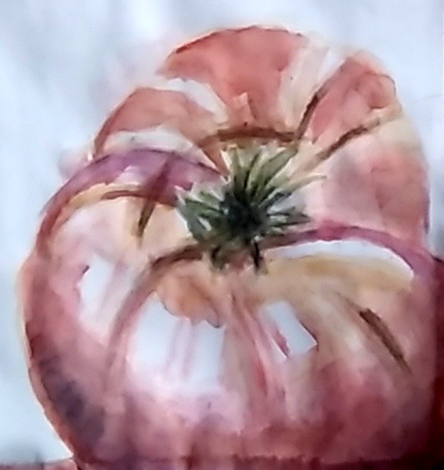 Red Tomato Watercolor