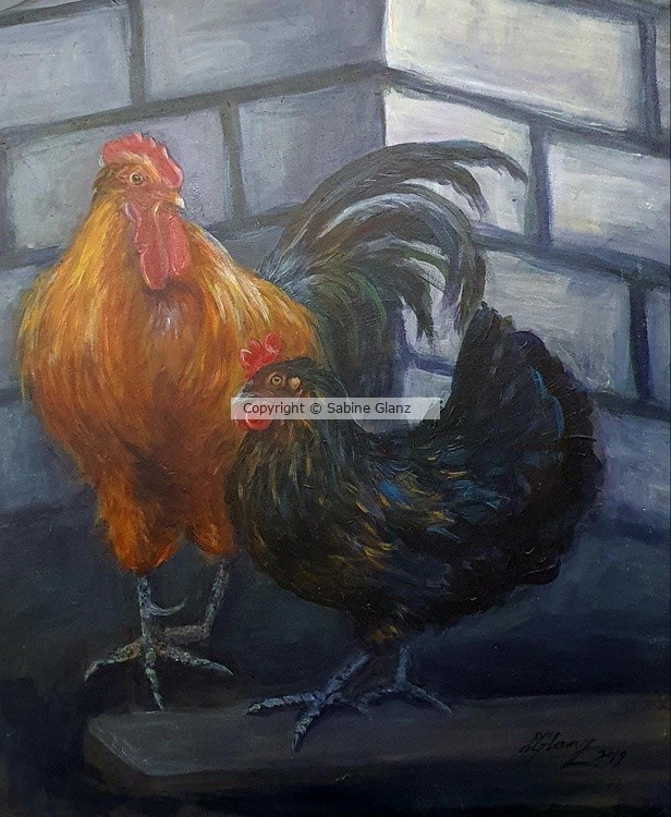 Rooster & Chicken