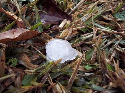 Picture of a piece of hail