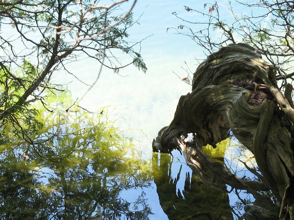 Reflections, Crawford lake