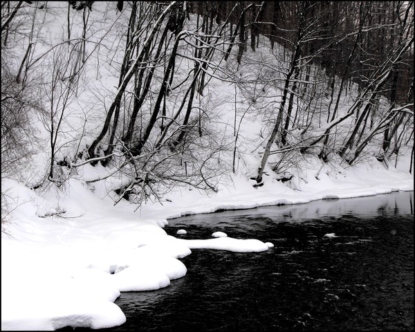 On The Bank Of The Mohawk River(Westernville,NY) 2