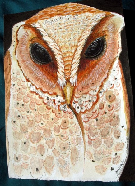 Barn Owl Painting 