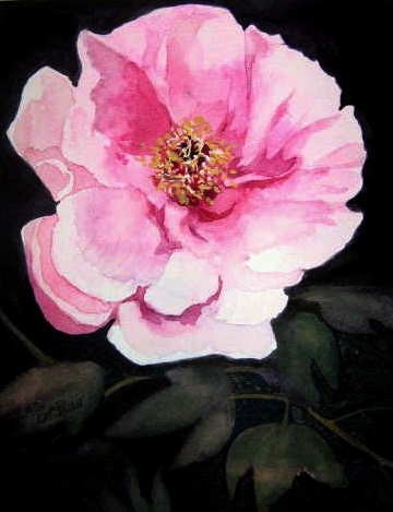 Tree Peony - SOLD