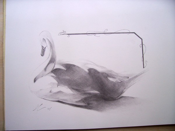 Ugly Duckling. Commissioned Drawing