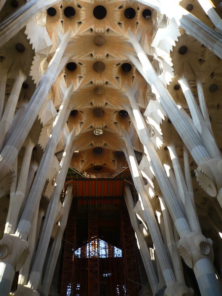 The ceiling-Sagrada familia