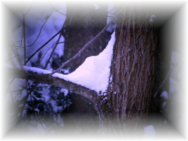 Winter's Grip