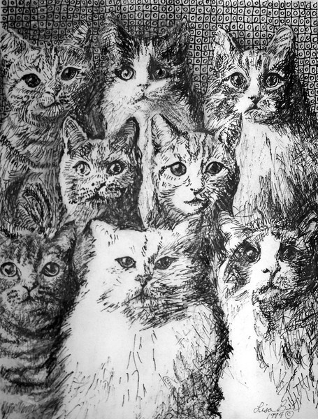 8 Kittys pen and ink  