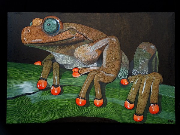 rabs tree frog #3