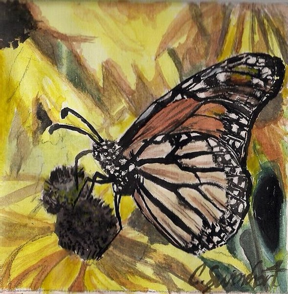 One of five butterflies