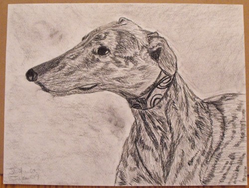 Standing Tall, A Greyhound Drawing - Greyt Designs