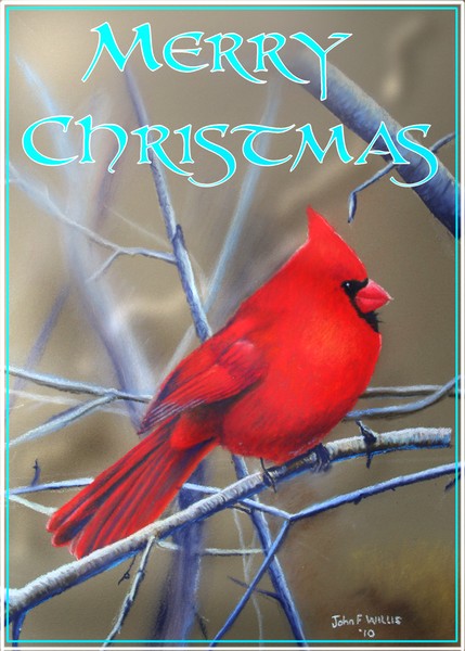 Christmas Card 7