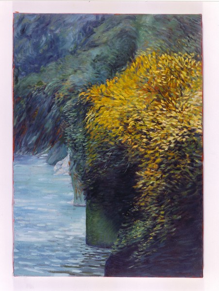 4. Torrent. Oil Painting. 70 x 50 cms. Japan.