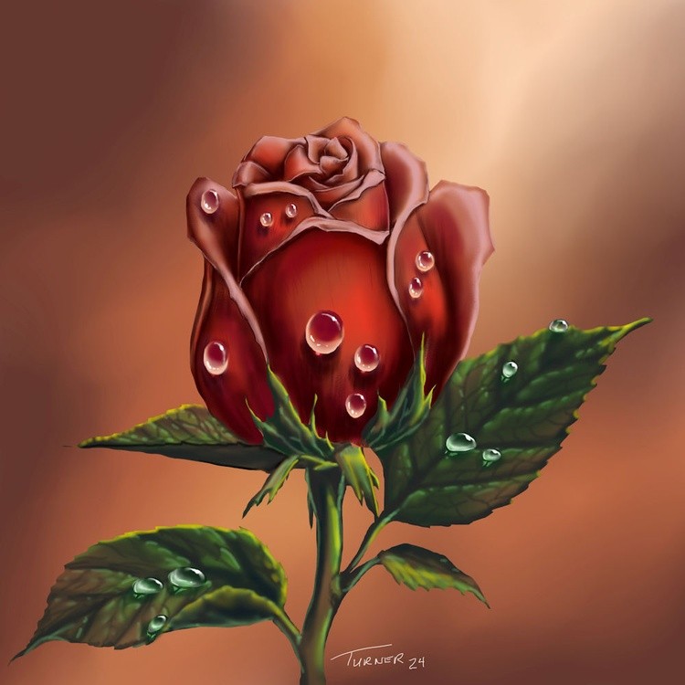 A Single Rosebud