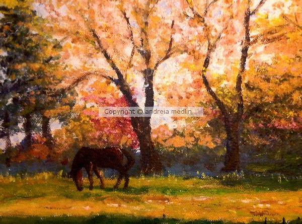 Fall scene with horse