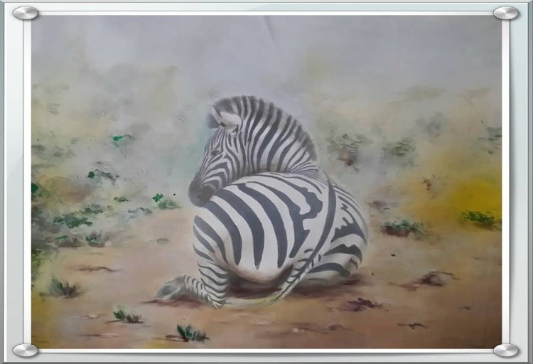 A Resting Zebra