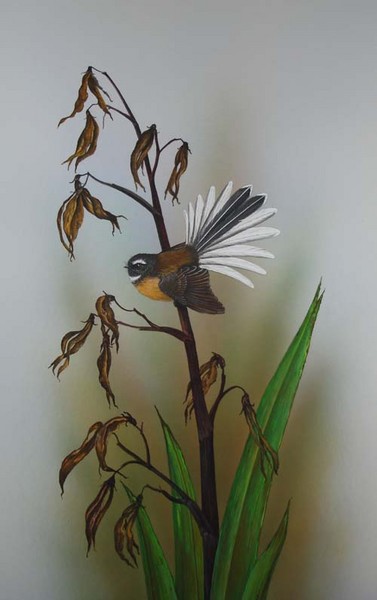 Fantail on spent flax