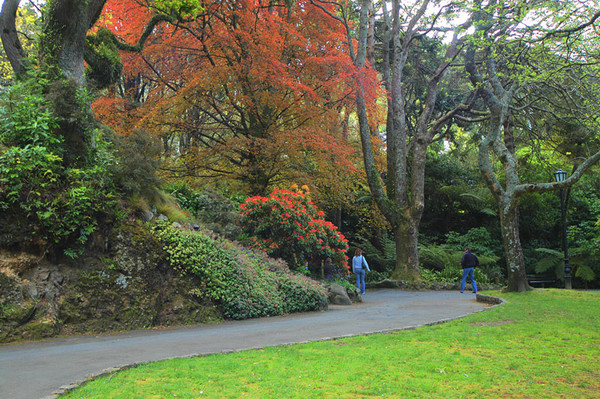 A Walk in the Gardens